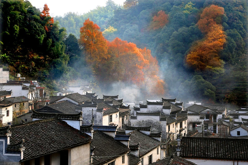 【黃山「鎮」能量】休寧汪村鎮：日月運往 紅色沃土綻新韻