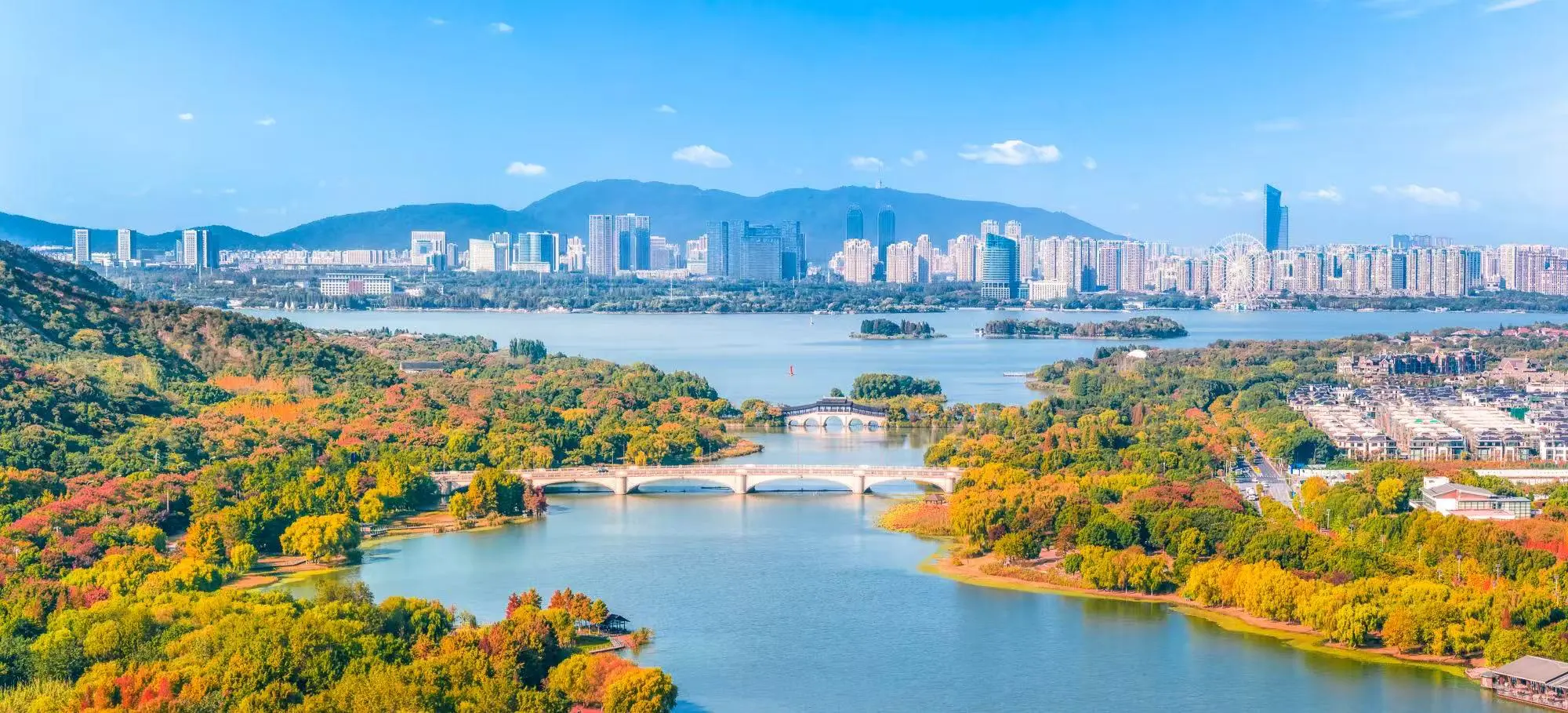 港記觀察|二十五年 太湖灣長出一片科創森林