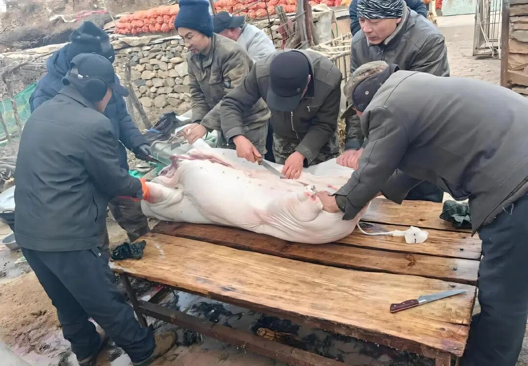 【樹成·心耕錄】他送來的何止是過年的肉