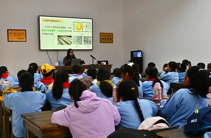 【港商觀察】皖祁門小路口鎮：凝聚振興勢能  唱響新時代的「田園戀曲」