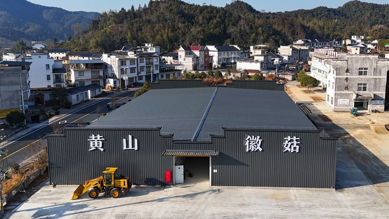 皖祁門小路口鎮：菌菇產業「多點開花」  激活鄉村「致富密碼」