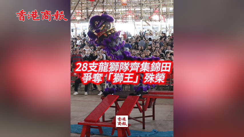 有片丨28支龍獅隊齊集錦田 爭奪「獅王」殊榮