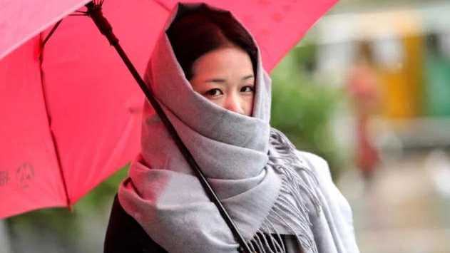 冷冷冷冷冷！深圳下周最低氣溫跌至8℃左右