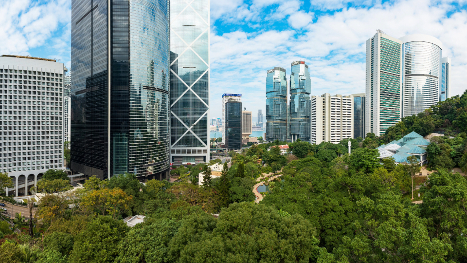 謝展寰：政府將繼續與社會各界共同為建設美麗中國、美麗香港努力