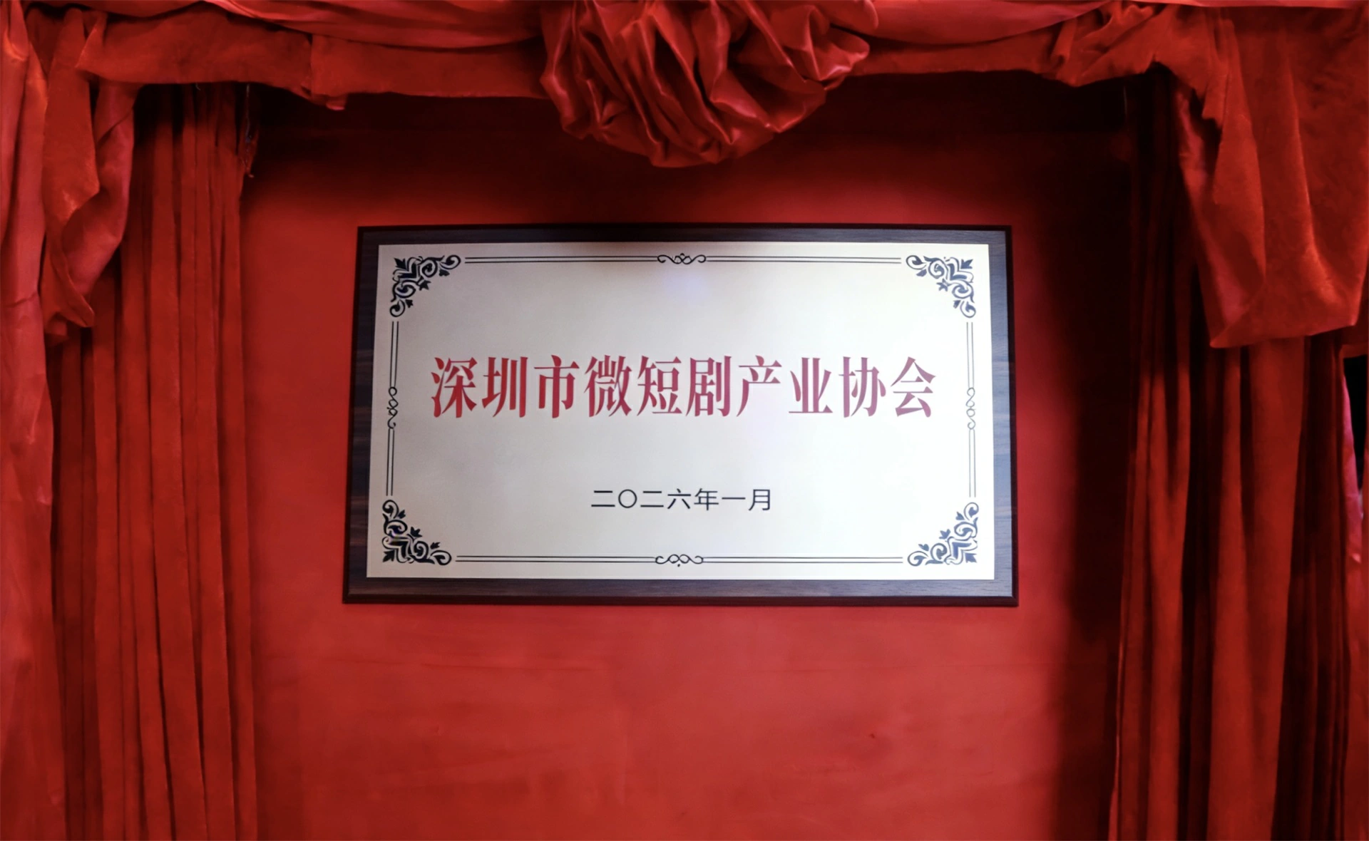 近百家企業齊聚！深圳市微短劇產業協會在坪山成立