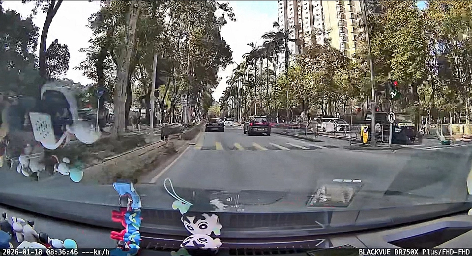 有片〡上水貨車撞斃單車婦 司機涉危駕被捕