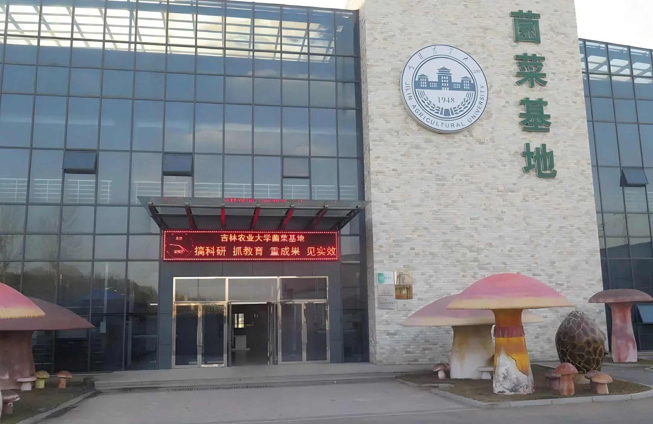 「吉字號」農產品《尋珍之旅》系列報道二 流量進山，靈芝出圈！