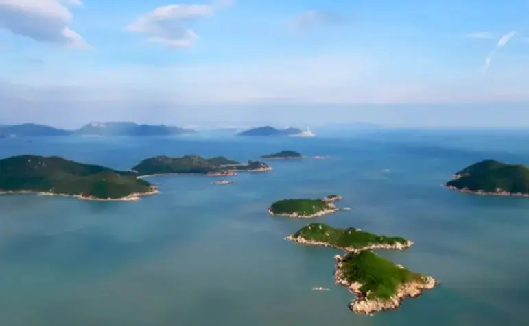 謝展寰：深化保護香港生物多樣性工作 發展三寶樹濕地保育公園