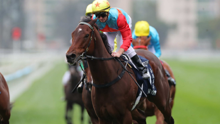 嘉應高昇榮膺《態況》年度馬王 希斯：我從練以來最出色一駒