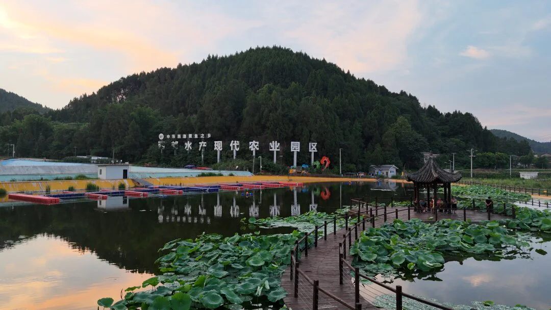 錨定農業農村現代化目標　四川鹽亭「十四五」答卷亮眼