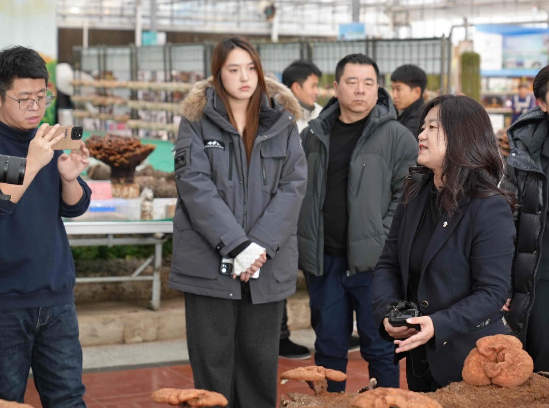「吉字號」農產品《尋珍之旅》系列報道四 農產品達人探源成流量密碼！ 「吉林長白山靈芝」收穫千萬級曝光