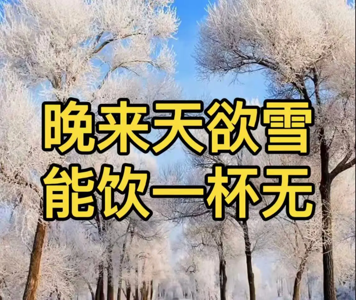 有片｜晚來天欲雪，能飲一杯無？