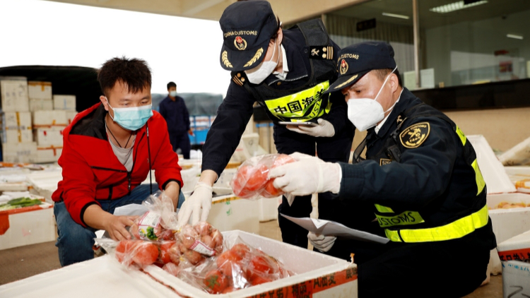 9.49萬億元廣東外貿再創歷史新高增幅4.4%  粵港貿易額破萬億達1.28萬元