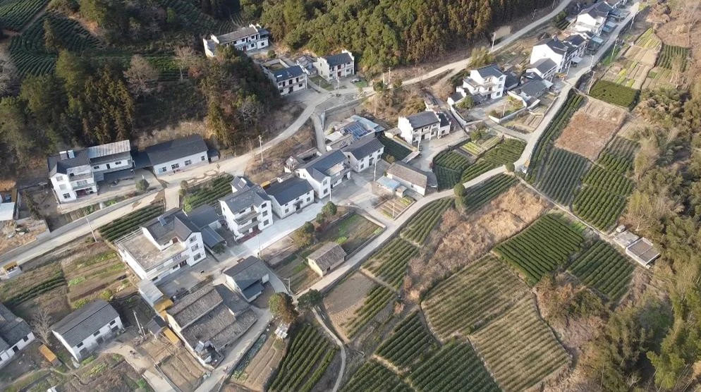 皖黃山區新明葛湖村：按下省級中心村建設「加速鍵」