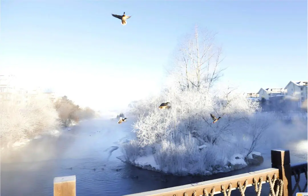 節氣專稿丨陳耀輝：大寒
