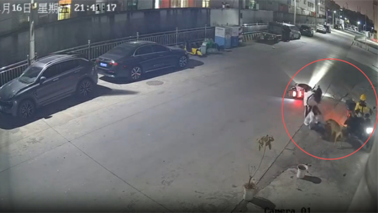 廣東汕頭通報「惡犬咬斷女子跟腱」：肇事犬只主人已拘留