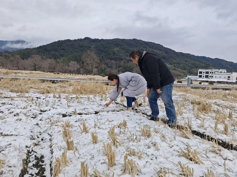 皖黟縣農水局：多維發力 防寒護農不鬆懈