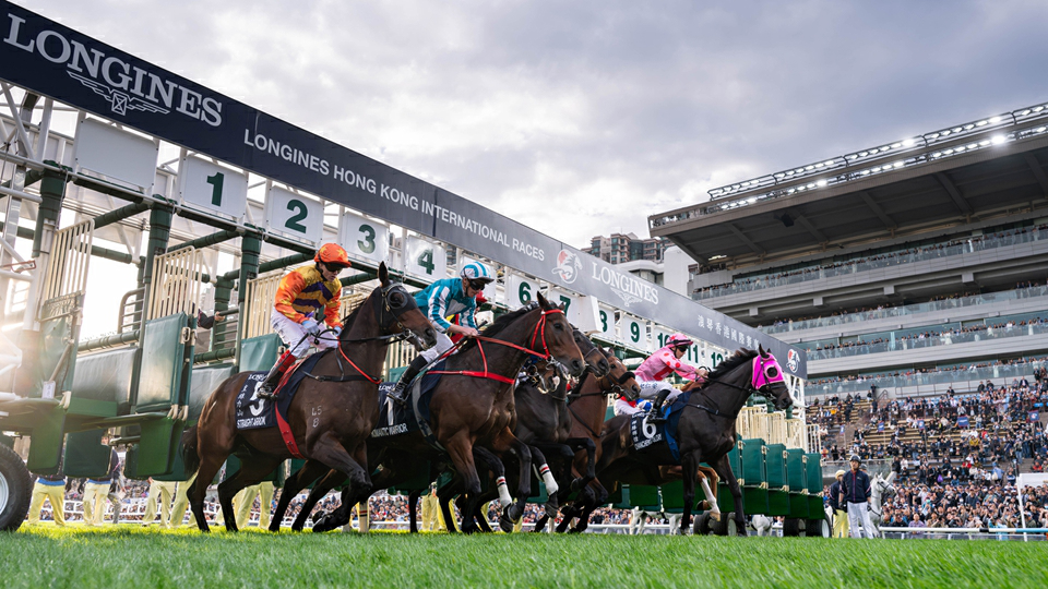 2025年浪琴世界最佳馬匹年終排名：嘉應高昇浪漫勇士打入前十