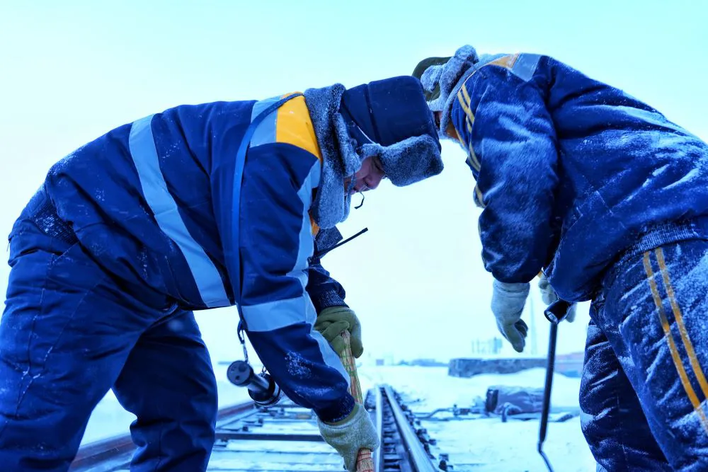 全力保障國家糧食安全新疆鐵路多點發運織密糧食運輸「保障網」