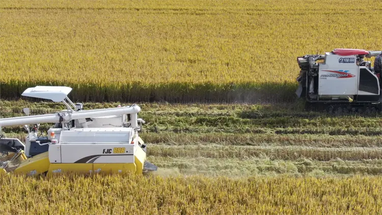 農業農村部：第二輪土地承包到期後再延長30年試點擴大到7個整省