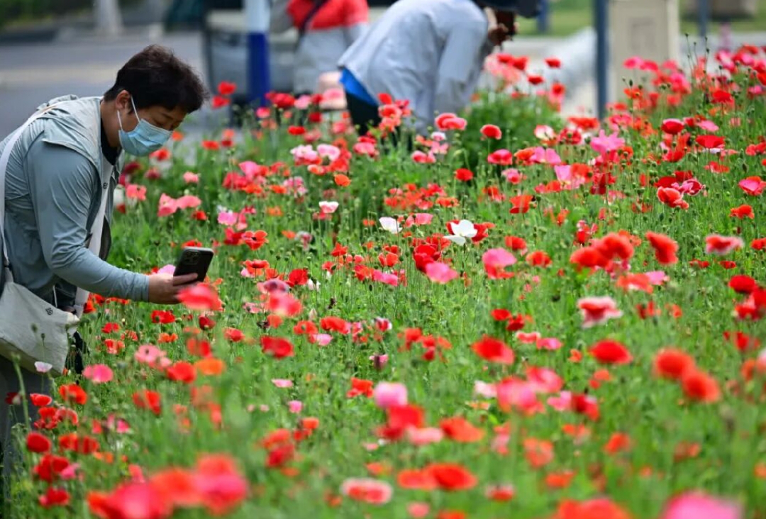城市品質提升 合肥高新區「繡」出暖「新」答卷