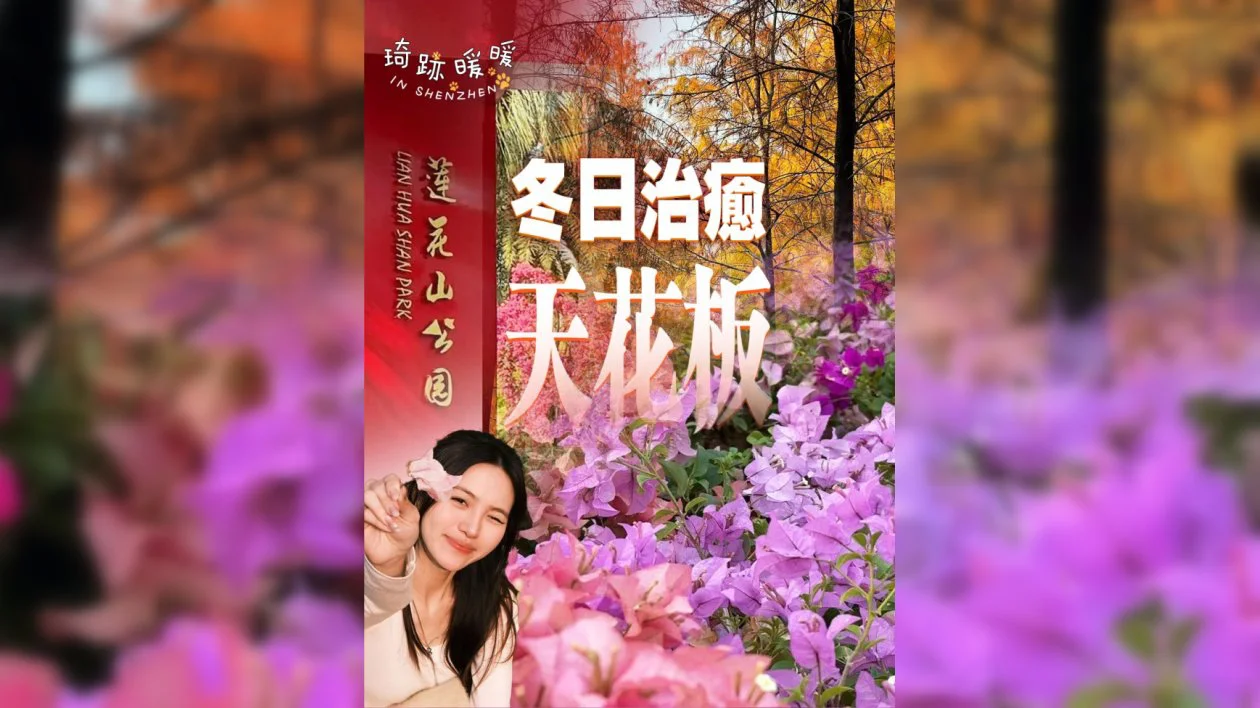 有片 | 深圳冬日治癒力天花板～ 打工人周末滿電攻略！