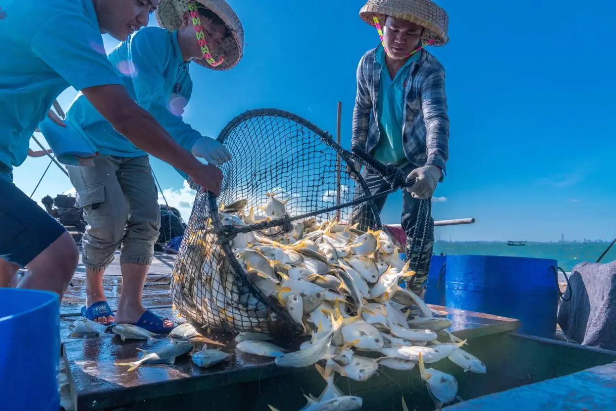  有片I 最懂吃的老廣  將把這些年味搬進北京城