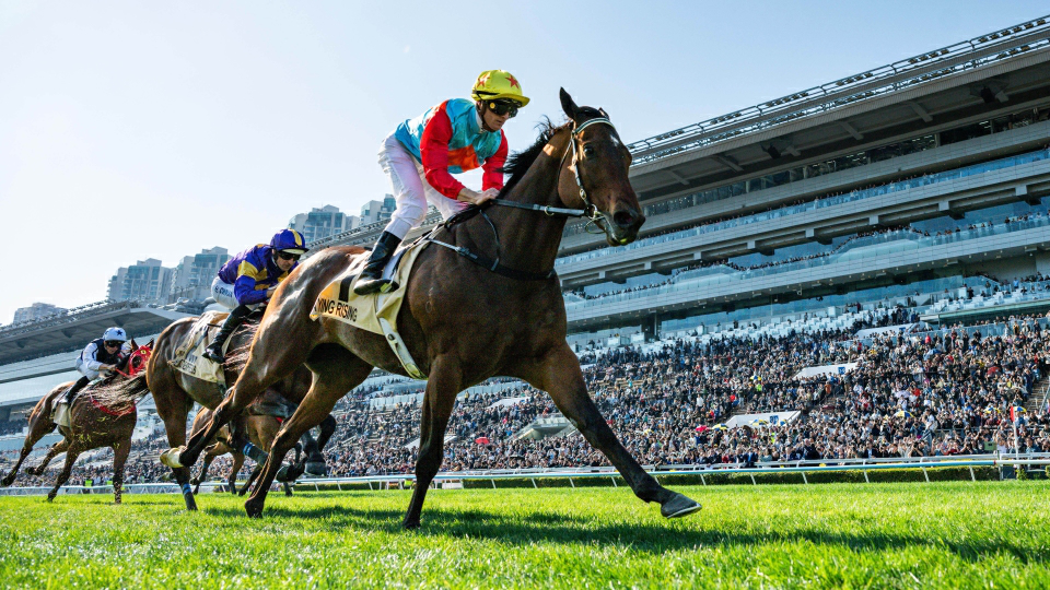 「嘉應高昇」成功17連勝 平「精英大師」近21年的香港紀錄