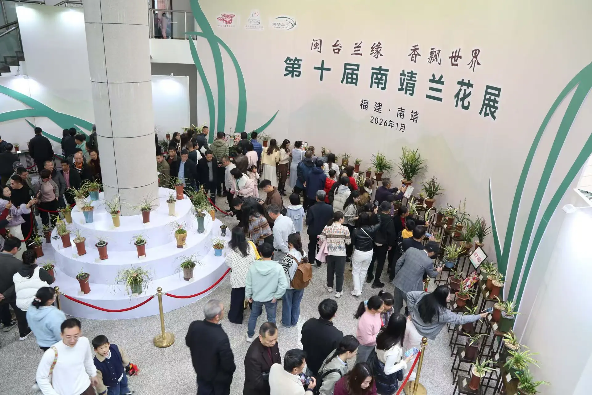 第十屆南靖蘭花展開幕 近千名海內外嘉賓以蘭會友