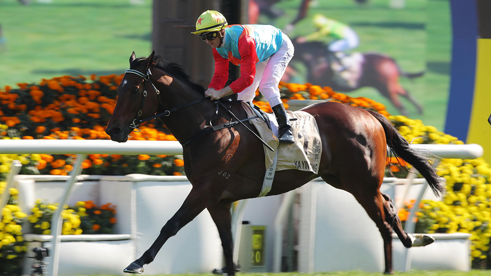 有片｜「嘉應高昇」完成17連勝 追平「精英大師」紀錄