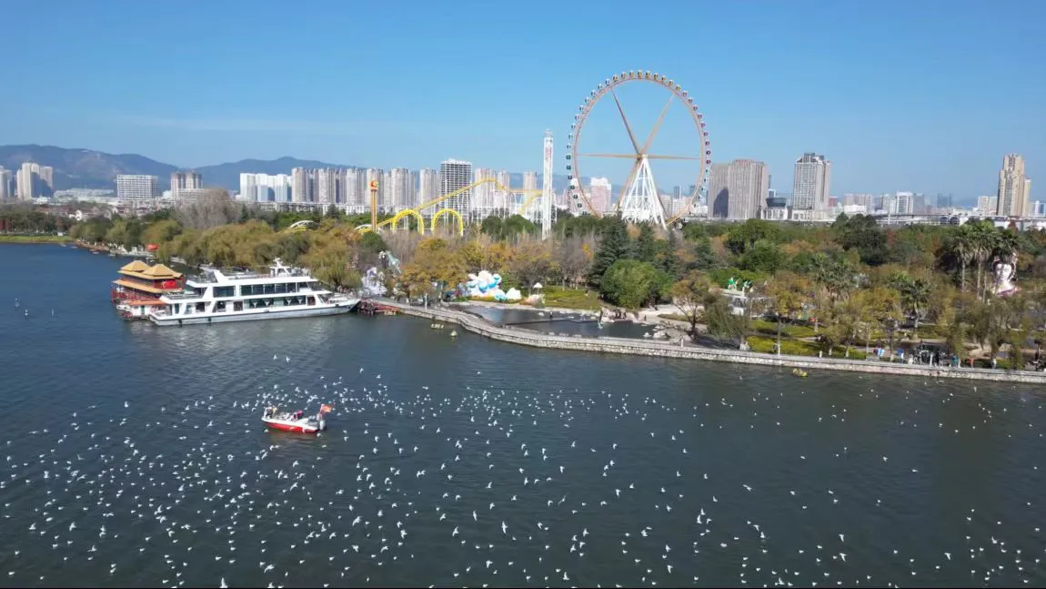 來昆明下飛機第一站 先逛「動物園」？