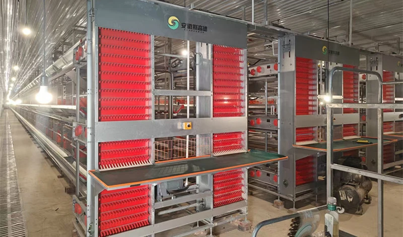 皖黟縣柯村鎮：產業振興的老區迴響