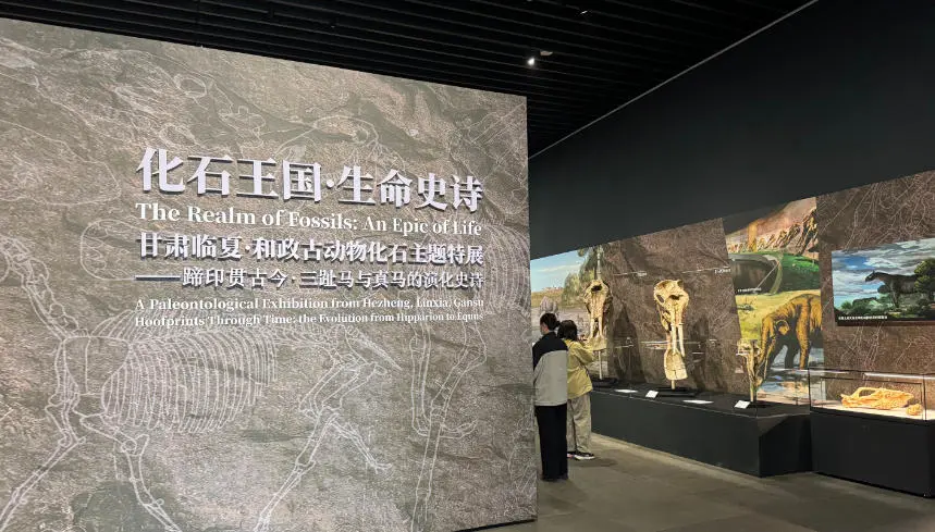 兩大展覽聯動 來深美感受跨越億萬年的生命演化