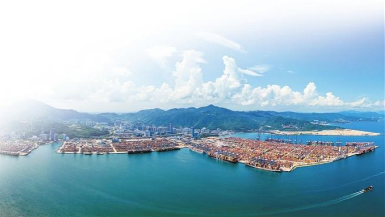 2025深圳商務投促十件大事