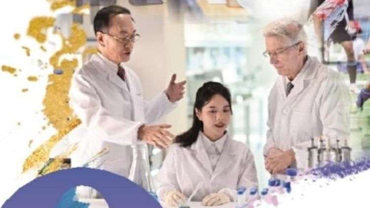 2025年深圳教育十件大事