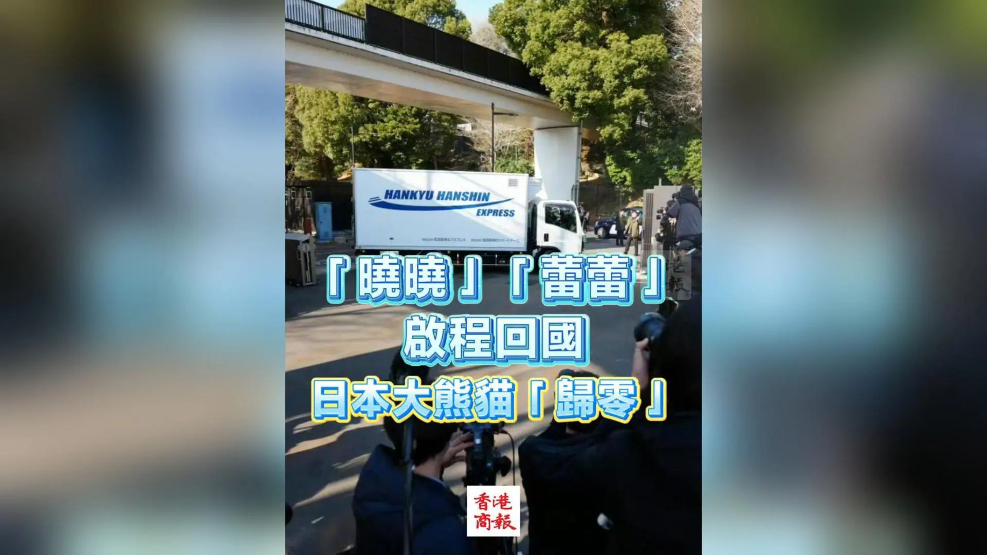 有片丨「曉曉」「蕾蕾」啟程回國 日本大熊貓「歸零」