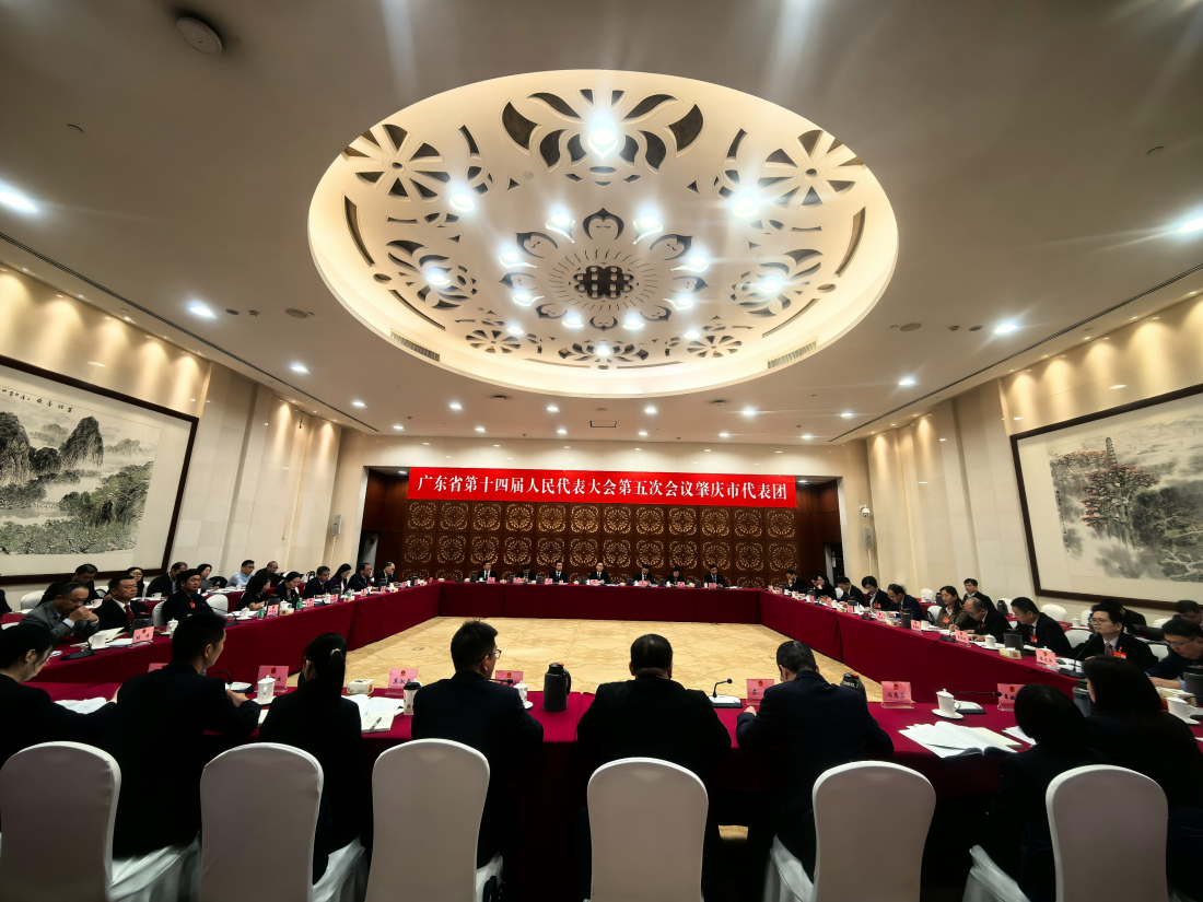 【廣東兩會】許曉雄：肇慶東進產業園點燃珠三角增長新動能