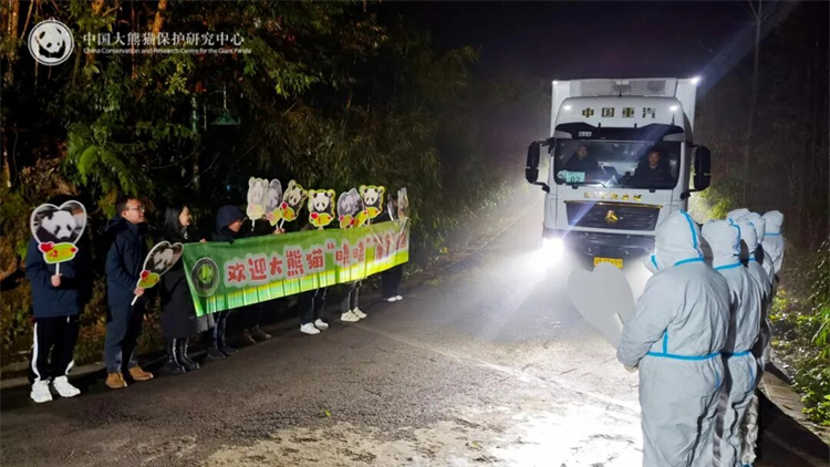 旅日大熊貓「曉曉」「蕾蕾」順利回國