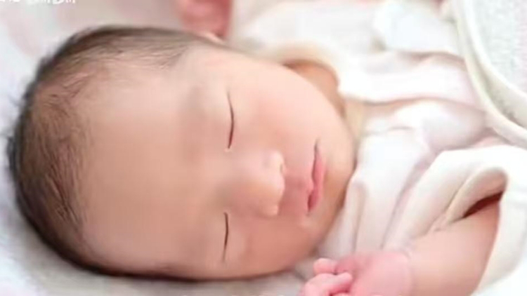 連續8年穩坐全國生育第一大省，廣東人為什麼能生？