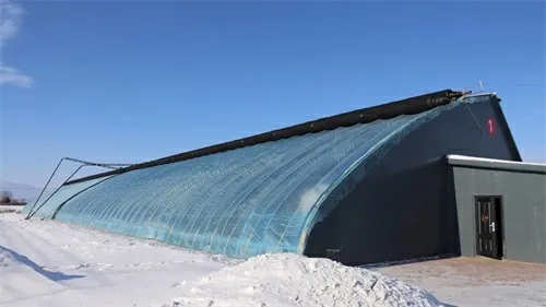 黑龍江饒河縣：冬日大棚春意濃 赫哲村寨產業興