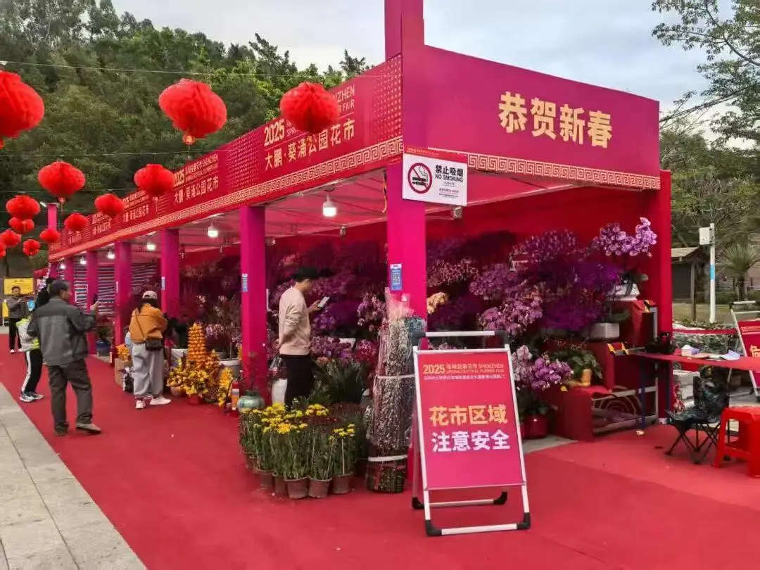2026年深圳大鵬新區迎春花市來啦！