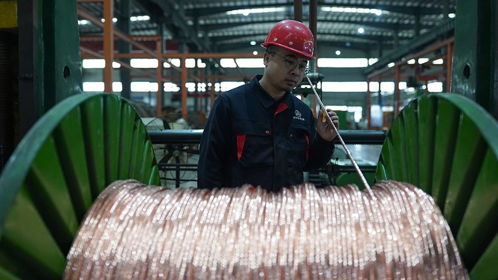 稅收數據印證「十四五」高質量發展軌跡 高端製造、數字經濟成增長引擎 港企迎產業融合新機遇