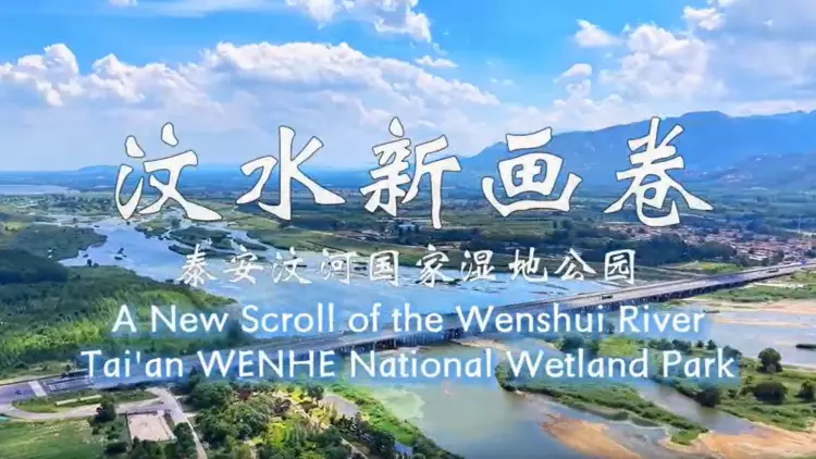 【視聽山東】在泰山與徂徠山之間 汶河濕地揮灑出詩意畫卷