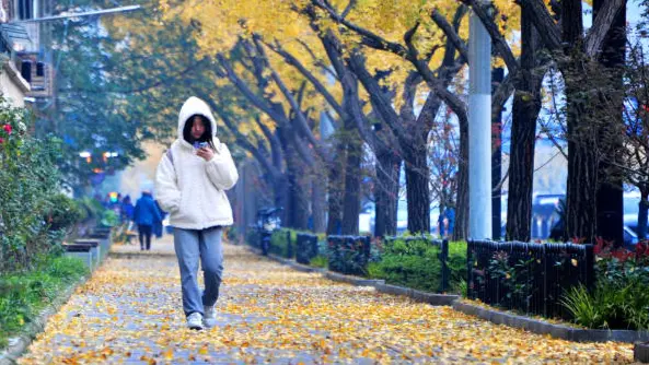 中國氣象局：2月將有4次冷空氣過程影響中國