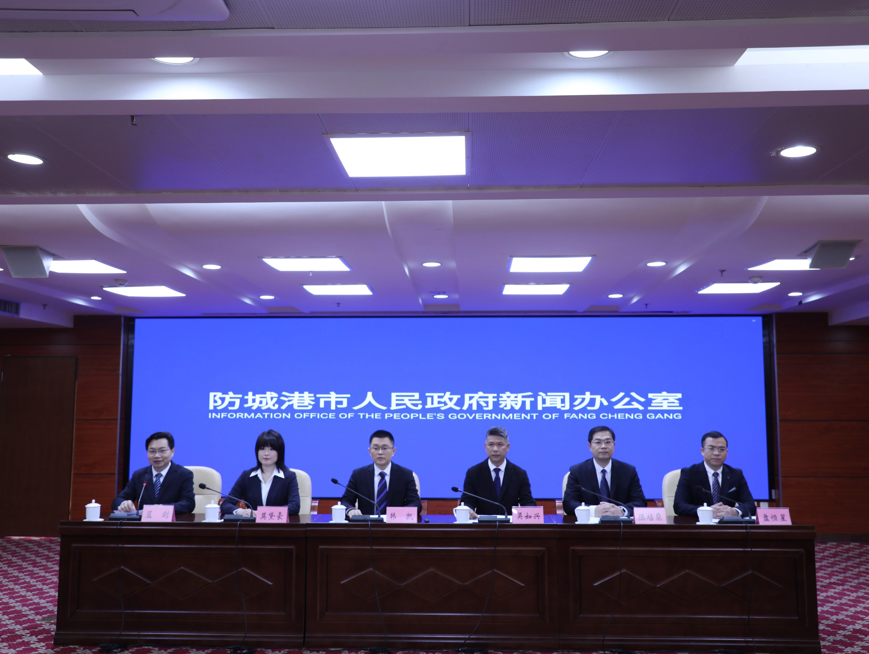 桂防城港握緊項目建設「接力棒」 交出亮眼成績