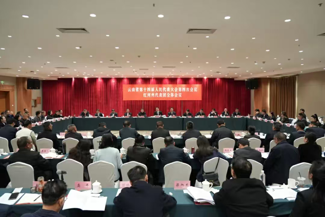 【雲南兩會】紅河州代表團舉行全體會議  審議省政府工作報告審查省「十五五」規劃綱要草案