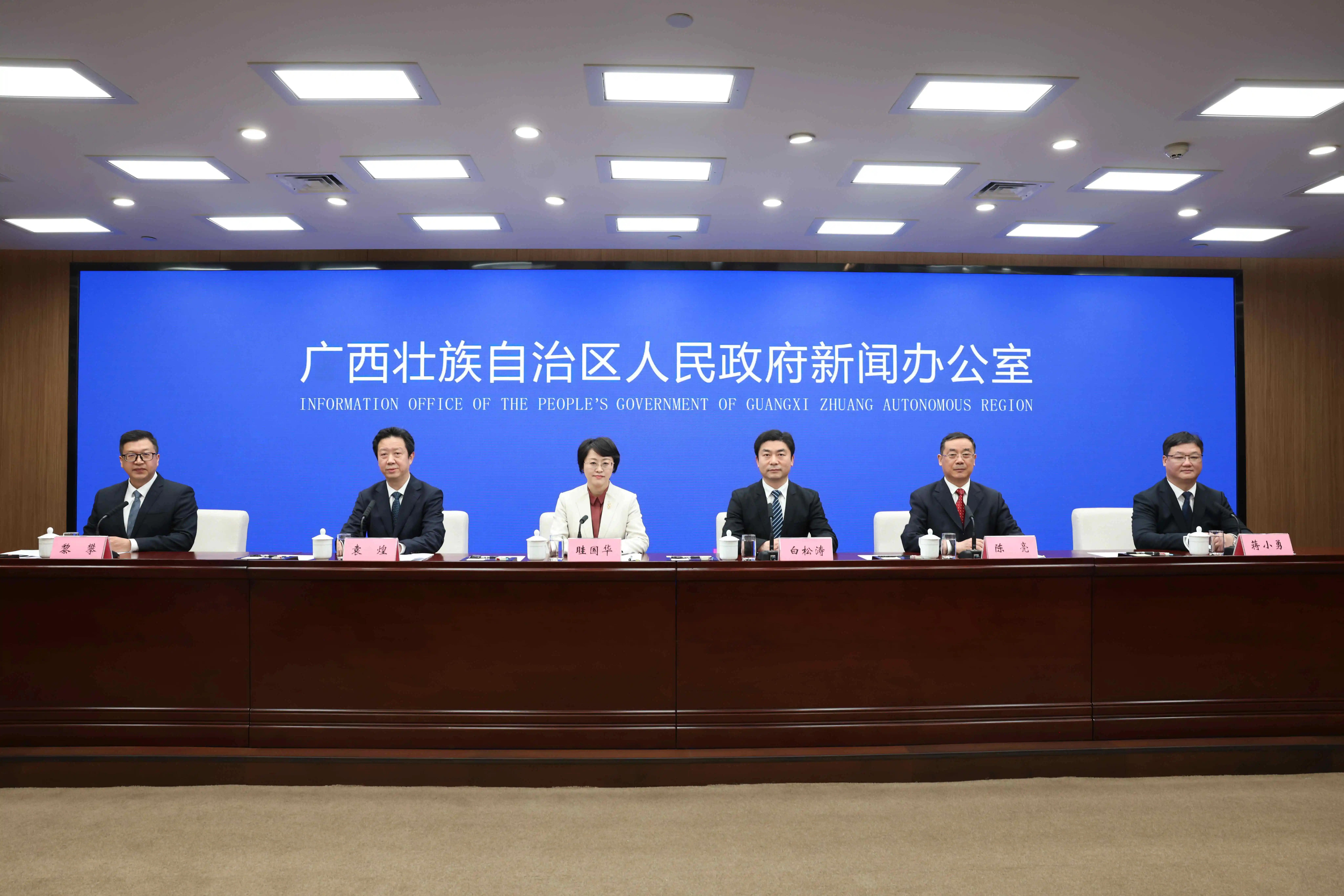 廣西紮實推進南丹關鍵金屬綜合試驗區建設促產業發展