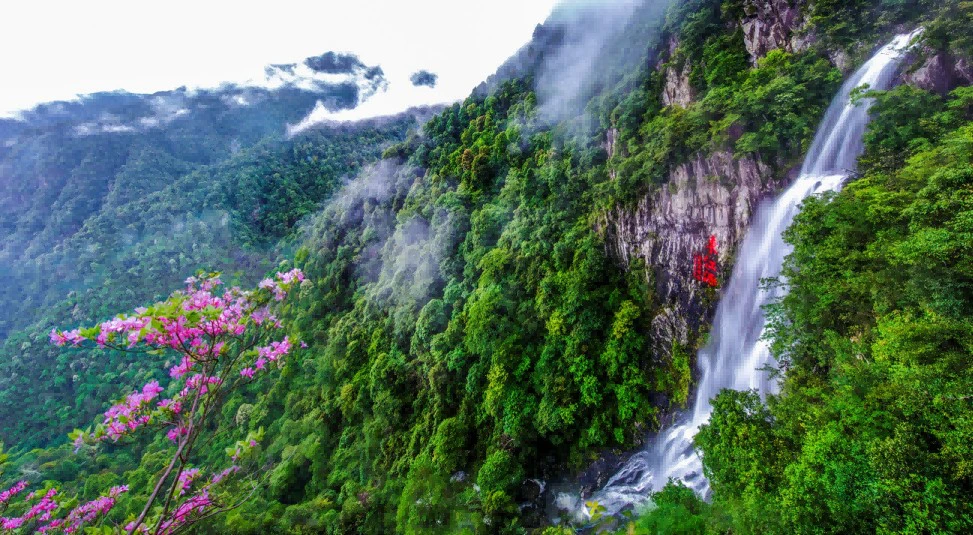 【江西兩會】鐘小剛代表：打好「東江源」牌 加快打造國家生態文明建設高地