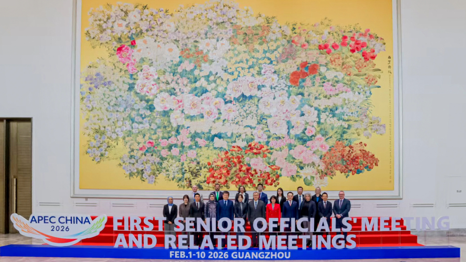 林文健在廣州出席亞太區經濟合作組織高官會衛生工作組會議