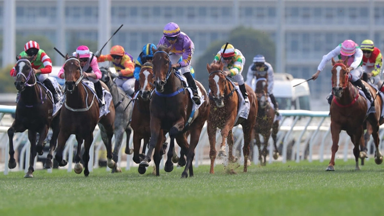 有片 | 丁冠豪從練至今重要勝仗 小鳥天堂勇奪香港經典一哩賽